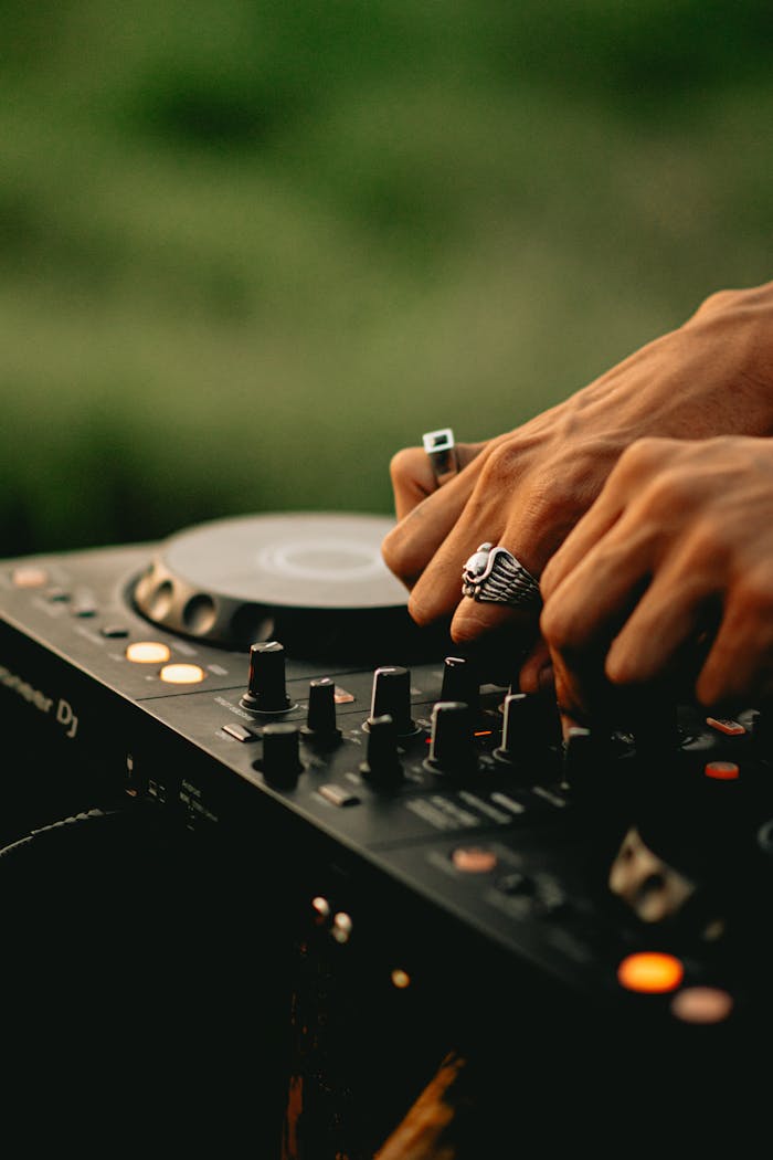 pexels photo 33253284.jpeg